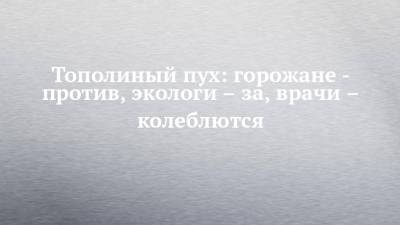 Тополиный пух: горожане - против, экологи – за, врачи – колеблются - chelny-izvest.ru - Экология