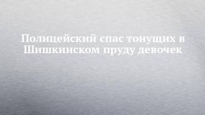 Полицейский спас тонущих в Шишкинском пруду девочек - chelny-izvest.ru - Альметьевск