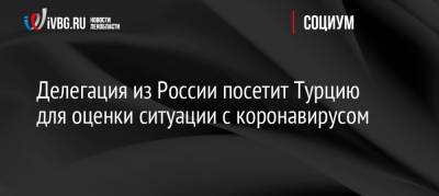 Делегация из России посетит Турцию для оценки ситуации с коронавирусом - ivbg.ru - Россия - Турция