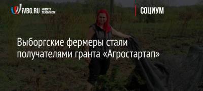 Выборгские фермеры стали получателями гранта «Агростартап» - ivbg.ru - Ленинградская обл.