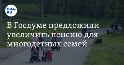 В Госдуме предложили увеличить пенсию для многодетных семей - ura.news