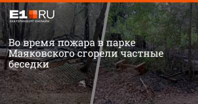 Во время пожара в парке Маяковского сгорели частные беседки - e1.ru - Екатеринбург