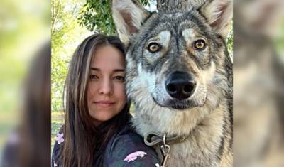 «Не лает, не пахнет и любит детей»: жительница Уфы рассказала о жизни с волчицей - newizv.ru - Уфа