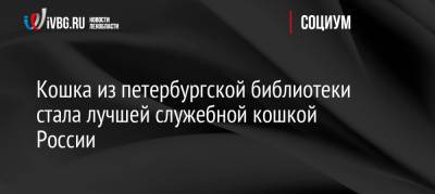 Кошка из петербургской библиотеки стала лучшей служебной кошкой России - ivbg.ru - Россия - Санкт-Петербург