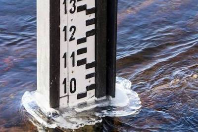 Уровень воды в реках Кубани не превысил критических отметок - kuban.mk.ru - Краснодарский край - Лабинск - Курганинск