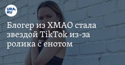Блогер - Блогер из ХМАО стала звездой TikTok из-за ролика с енотом. Видео - ura.news - Югра