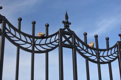 Двое москвичей украли позолоченную ограду с кладбища за полмиллиона рублей - news.vse42.ru - Москва
