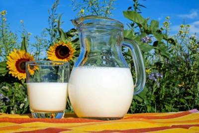 Мартин Лютер - Учёные рассказали, что через молоко коровы человеку передаётся смертельно опасный токсин - skuke.net