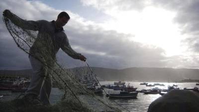 Около 387 тысяч тонн водных биоресурсов добыли рыбаки Приморья в 2021 году - russian.rt.com - Южная Корея - Московская обл. - Япония - Приморье край