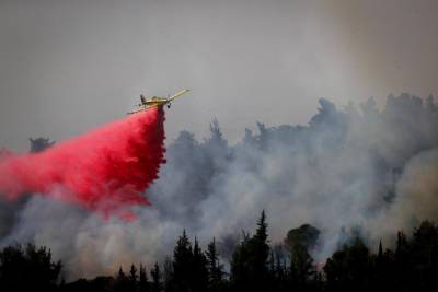 Более 70 пожарных расчетов сражаются с пожарами по всему Израилю - news.israelinfo.co.il