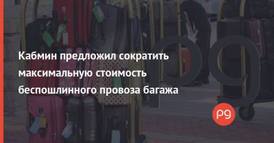 Кабмин предложил сократить максимальную стоимость беспошлинного провоза багажа - thepage.ua