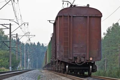 Денис Пушилин - Главарь «ДНР» анонсировал поезда в Крым и Москву - real-vin.com - Москва - Крым - Санкт-Петербург - ДНР - Донецк - Донецкая обл.