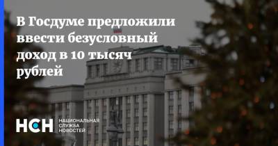 Олег Шеин - В Госдуме предложили ввести безусловный доход в 10 тысяч рублей - nsn.fm