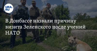 Владимир Зеленский - В Донбассе назвали причину визита Зеленского после учений НАТО - ura.news - ДНР