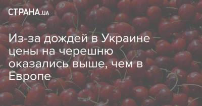 Валерий Чкалов - Из-за дождей в Украине цены на черешню оказались выше, чем в Европе - strana.ua
