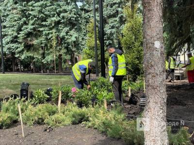 Еловый сквер благоустраивают в Нижегородском кремле - vgoroden.ru - Нижний Новгород - Нижний Новгород - Благоустройство