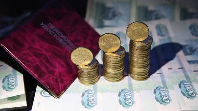 В Госдуму внесли проект о прибавках к пенсиям многодетных - iz.ru
