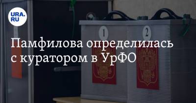 Элла Памфилова - Памфилова определилась с куратором в УрФО - ura.news - окр. Уральский