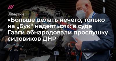 «Больше делать нечего, только на „Бук“ надеяться»: в суде Гааги обнародовали прослушку силовиков ДНР - tvrain.ru - ДНР - Гаага