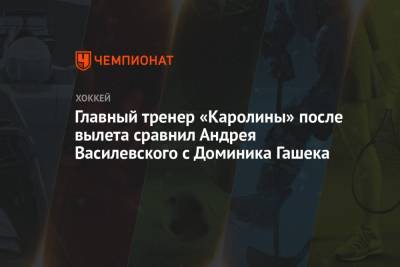 Андрей Василевский - Джон Смит - Доминик Гашек - Главный тренер «Каролины» после вылета сравнил Андрея Василевского с Доминика Гашека - championat.com