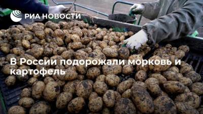 В России подорожали морковь и картофель - smartmoney.one - Магаданская обл. - Чукотка