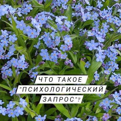 Что такое "психологический запрос"? - skuke.net