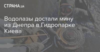 Водолазы достали мину из Днепра в Гидропарке Киева - strana.ua - Киев - Гсчс