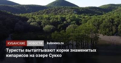 Туристы вытаптывают корни знаменитых кипарисов на озере Сукко - kubnews.ru - Анапа - Краснодарский край