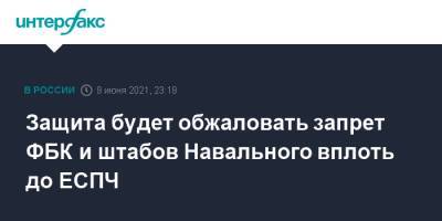 Иван Павлов - Защита будет обжаловать запрет ФБК и штабов Навального вплоть до ЕСПЧ - interfax.ru - Москва