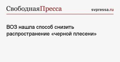 ВОЗ нашла способ снизить распространение «черной плесени» - svpressa.ru - Индия