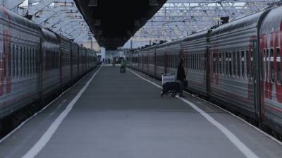 Высокопоставленный сотрудник РЖД в Воронеже попался на «потере» 6 млн при ремонте вокзалов - vestivrn.ru - Россия - Воронеж - Нижний Новгород - Белгород