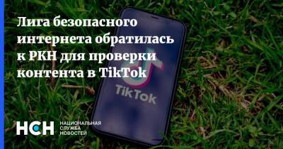 Екатерина Мизулина - Лига безопасного интернета обратилась к РКН для проверки контента в TikTok - nsn.fm - Россия