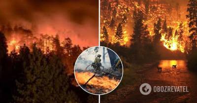 Лесные пожары в Якутии - фото, видео, что известно - obozrevatel.com - Россия - респ. Саха - Якутск - Магадан