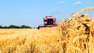 Украина открывает рынок земли - мораторий на куплю-продажу отменен - bin.ua - Украина