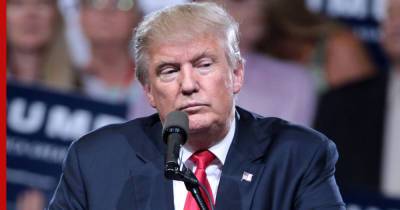 Дональд Трамп - Трамп принял решение по участию в выборах президента США - profile.ru - США