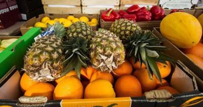 Светлана Фус - Диетолог: О пользе фруктов можно узнать по их цвету - klops.ru