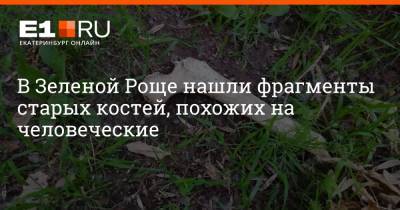 В Зеленой Роще нашли фрагменты старых костей, похожих на человеческие - e1.ru - Екатеринбург