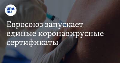 Евросоюз запускает единые коронавирусные сертификаты. Видео - ura.news