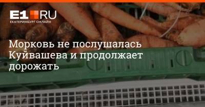 Евгений Куйвашев - Филипп Сапегин - Морковь не послушалась Куйвашева и продолжает дорожать - e1.ru - Екатеринбург