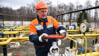 Александр Новак - Правительство урегулирует цены на проведение газа - gazeta.ru - Россия