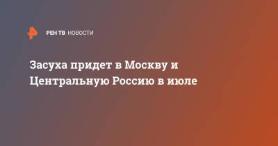 Евгений Тишковец - Засуха придет в Москву и Центральную Россию в июле - ren.tv - Москва - Россия