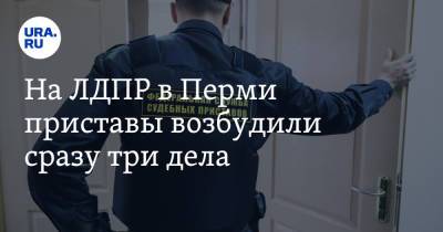На ЛДПР в Перми приставы возбудили сразу три дела - ura.news - Россия - Пермь