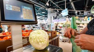 Владимир Кашин - В Госдуме назвали причину высоких цен на отечественные овощи - penzainform.ru