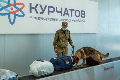 Челябинские таможенники рассказали, какую контрабанду везут самолетами - znak.com - Швейцария - Узбекистан - Египет - Германия - Челябинск - Испания - Таджикистан