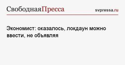 Никита Кричевский - Экономист: оказалось, локдаун можно ввести, не объявляя - svpressa.ru - Россия