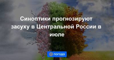 Синоптики прогнозируют засуху в Центральной России в июле - news.mail.ru - Москва - Россия