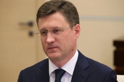 Владимир Путин - Александр Новак - Новак: россияне смогут провести газ на своих участках по регулируемым ценам - pnp.ru - Россия