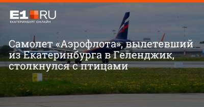 Артем Устюжанин - Самолет «Аэрофлота», вылетевший из Екатеринбурга в Геленджик, столкнулся с птицами - e1.ru - Екатеринбург - Свердловская обл. - Геленджик