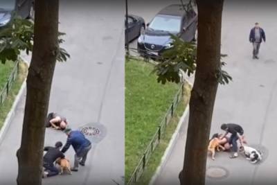 В Петербурге мужчина пострадал, закрывая свою собаку от 2 стаффордширских терьеров - abnews.ru - Санкт-Петербург