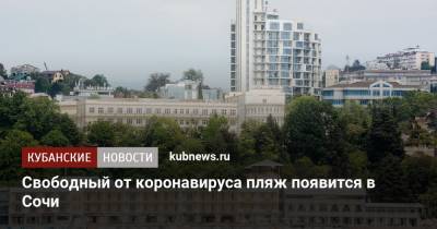 Свободный от коронавируса пляж появится в Сочи - kubnews.ru - Сочи - Краснодарский край